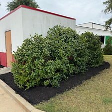 Commercial-Mulching-Services-in-Oxford-MS-and-Surrounding-Areas 10